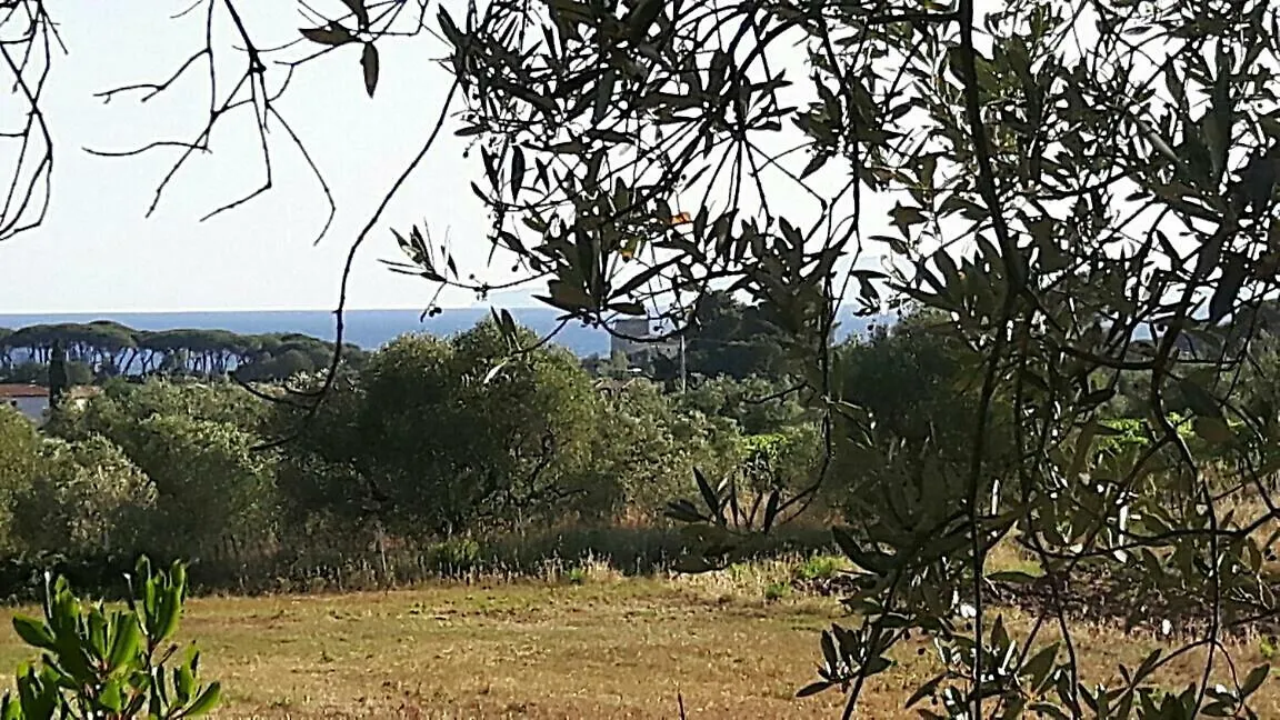 Country house Casetta Olga Guest House Carbonifera Italy